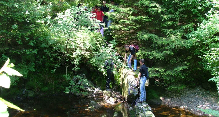 Activities - Hotel à la Ferme in Sy offers plenty of choice